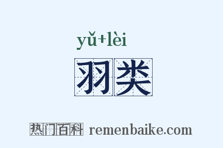 羽类是什么意思的图片